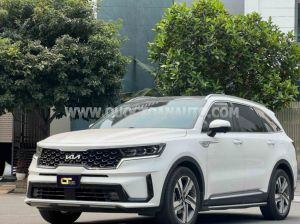 Xe Kia Sorento Signature 2.2 AT AWD 2022