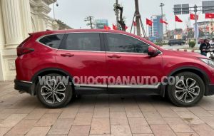 Xe Honda CRV L 2022