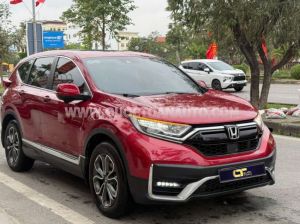 Xe Honda CRV L 2022