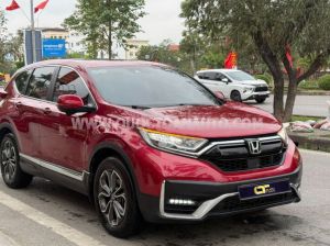 Xe Honda CRV L 2022